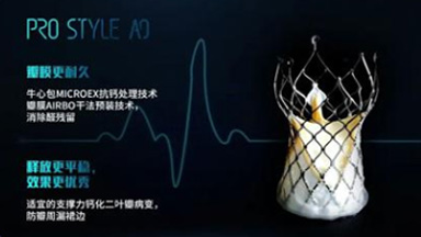 經(jīng)導管主動脈瓣膜系統(tǒng)（金仕生物）